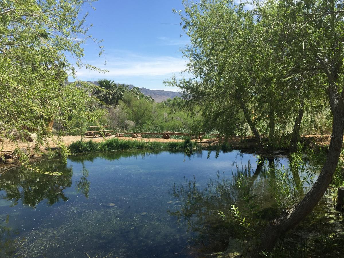 Rv Park Camping